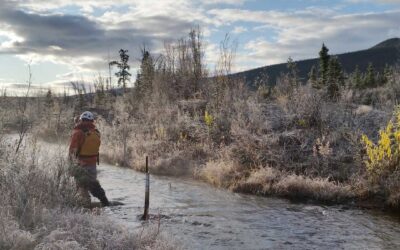 Faro Mine Remediation Project